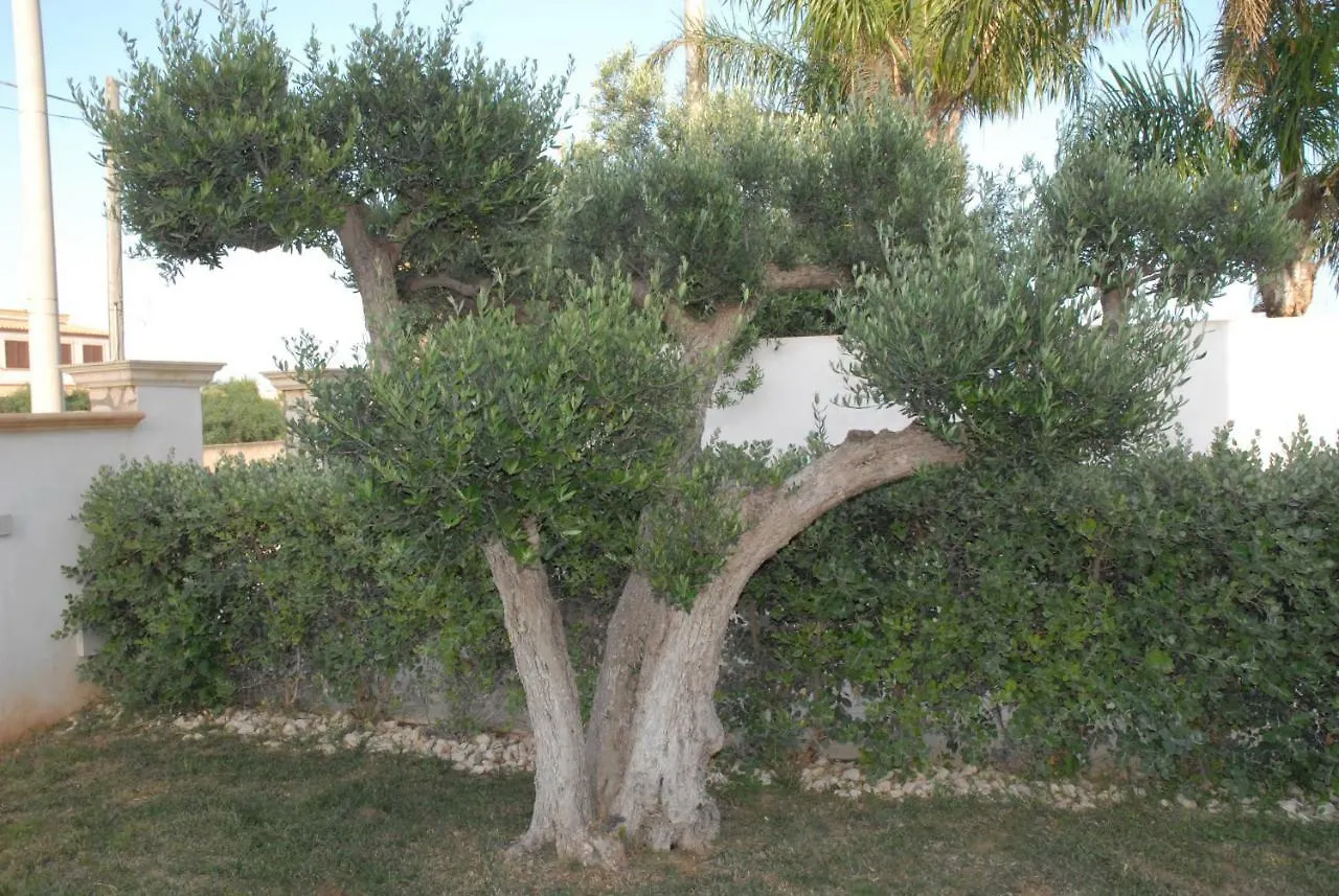 Appartamento Oasi Tortuga Mazara del Vallo Italia